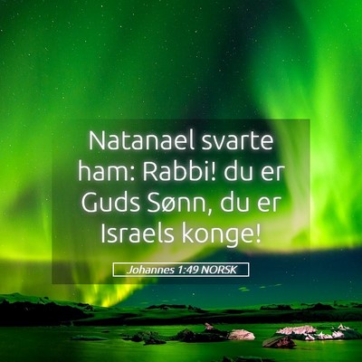 Picture 05 - Johannes 1:49 NORSK - Natanael svarte ham: Rabbi! du er Guds Sønn, du - Bible Verse Picture