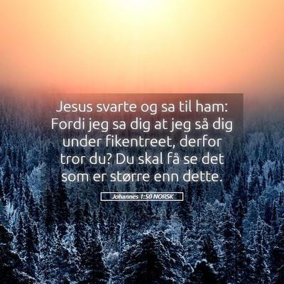 Picture 05 - Johannes 1:50 NORSK - Jesus svarte og sa til ham: Fordi jeg sa dig at - Bible Verse Picture
