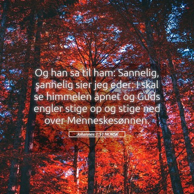 Picture 05 - Johannes 1:51 NORSK - Og han sa til ham: Sannelig, sannelig sier jeg - Bible Verse Picture