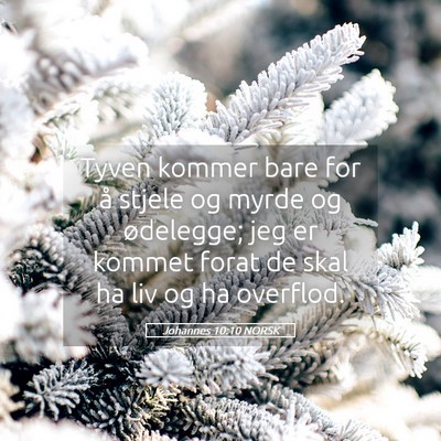 Picture 05 - Johannes 10:10 NORSK - Tyven kommer bare for å stjele og myrde og - Bible Verse Picture