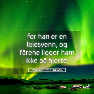 Picture 05 - Johannes 10:13 NORSK - for han er en leiesvenn, og fårene ligger ham - Bible Verse Picture