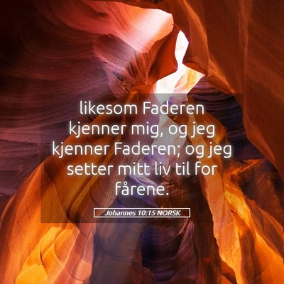 Picture 05 - Johannes 10:15 NORSK - likesom Faderen kjenner mig, og jeg kjenner - Bible Verse Picture
