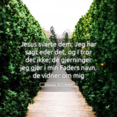 Picture 05 - Johannes 10:25 NORSK - Jesus svarte dem: Jeg har sagt eder det, og I - Bible Verse Picture