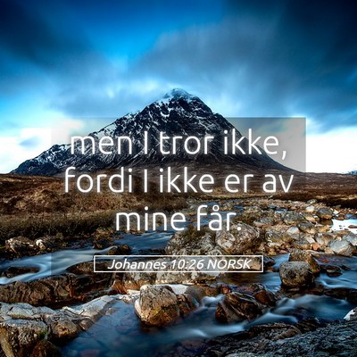 Picture 05 - Johannes 10:26 NORSK - men I tror ikke, fordi I ikke er av mine - Bible Verse Picture