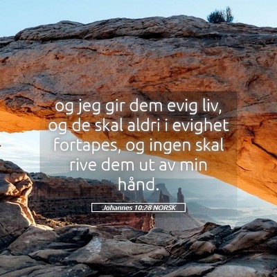 Picture 05 - Johannes 10:28 NORSK - og jeg gir dem evig liv, og de skal aldri i - Bible Verse Picture