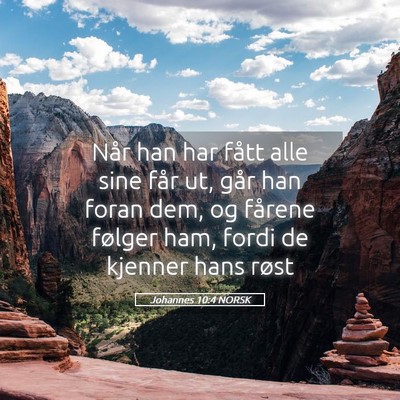 Picture 05 - Johannes 10:4 NORSK - Når han har fått alle sine får ut, går han - Bible Verse Picture