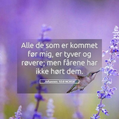 Picture 05 - Johannes 10:8 NORSK - Alle de som er kommet før mig, er tyver og - Bible Verse Picture