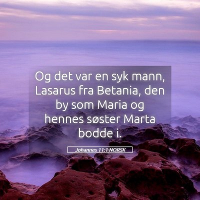 Picture 05 - Johannes 11:1 NORSK - Og det var en syk mann, Lasarus fra Betania, den - Bible Verse Picture