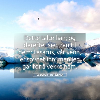 Picture 05 - Johannes 11:11 NORSK - Dette talte han; og derefter sier han til dem: - Bible Verse Picture