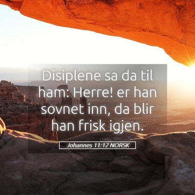 Picture 05 - Johannes 11:12 NORSK - Disiplene sa da til ham: Herre! er han sovnet - Bible Verse Picture