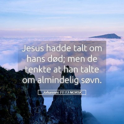 Picture 05 - Johannes 11:13 NORSK - Jesus hadde talt om hans død; men de tenkte at - Bible Verse Picture