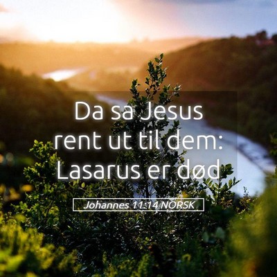 Picture 05 - Johannes 11:14 NORSK - Da sa Jesus rent ut til dem: Lasarus er - Bible Verse Picture