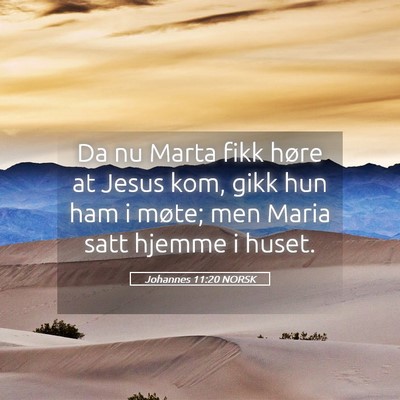 Picture 05 - Johannes 11:20 NORSK - Da nu Marta fikk høre at Jesus kom, gikk hun ham - Bible Verse Picture