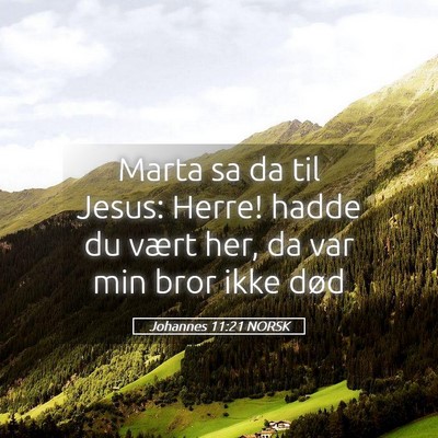 Picture 05 - Johannes 11:21 NORSK - Marta sa da til Jesus: Herre! hadde du vært her, - Bible Verse Picture