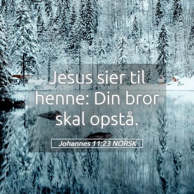 Picture 05 - Johannes 11:23 NORSK - Jesus sier til henne: Din bror skal - Bible Verse Picture