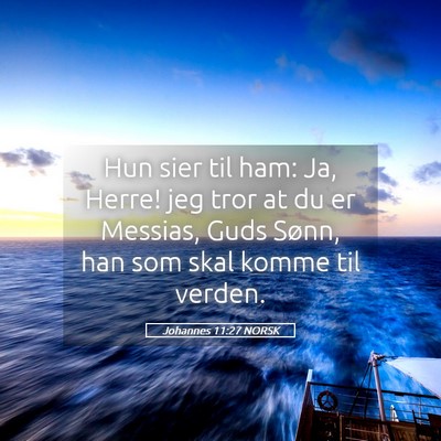 Picture 05 - Johannes 11:27 NORSK - Hun sier til ham: Ja, Herre! jeg tror at du er - Bible Verse Picture