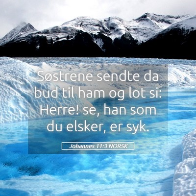 Picture 05 - Johannes 11:3 NORSK - Søstrene sendte da bud til ham og lot si: Herre! - Bible Verse Picture