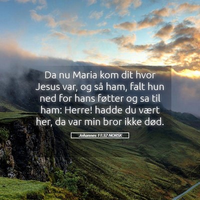 Picture 05 - Johannes 11:32 NORSK - Da nu Maria kom dit hvor Jesus var, og så ham, - Bible Verse Picture