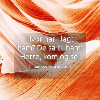 Picture 05 - Johannes 11:34 NORSK - Hvor har I lagt ham? De sa til ham: Herre, kom og - Bible Verse Picture