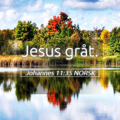 Picture 05 - Johannes 11:35 NORSK - Jesus - Bible Verse Picture