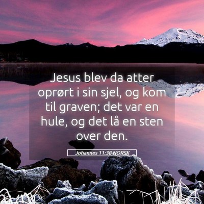 Picture 05 - Johannes 11:38 NORSK - Jesus blev da atter oprørt i sin sjel, og kom - Bible Verse Picture