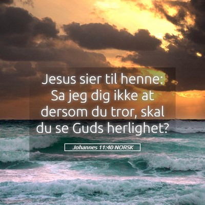 Picture 05 - Johannes 11:40 NORSK - Jesus sier til henne: Sa jeg dig ikke at dersom - Bible Verse Picture