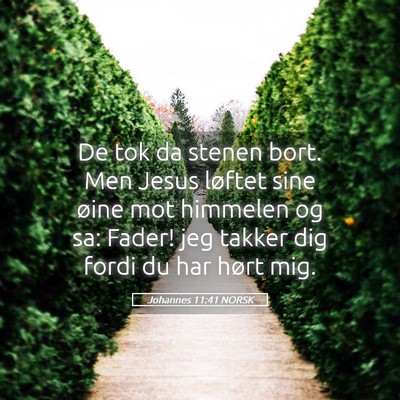 Picture 05 - Johannes 11:41 NORSK - De tok da stenen bort. Men Jesus løftet sine - Bible Verse Picture