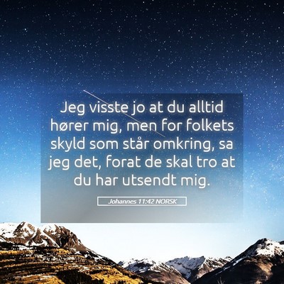 Picture 05 - Johannes 11:42 NORSK - Jeg visste jo at du alltid hører mig, men for - Bible Verse Picture