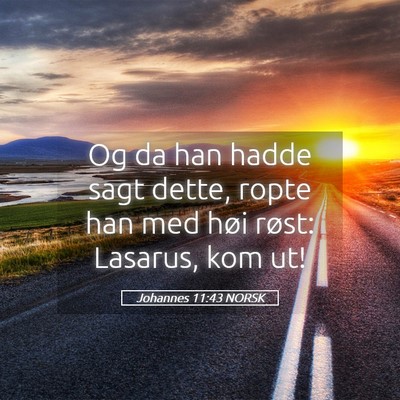 Picture 05 - Johannes 11:43 NORSK - Og da han hadde sagt dette, ropte han med høi - Bible Verse Picture