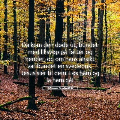 Picture 05 - Johannes 11:44 NORSK - Da kom den døde ut, bundet med liksvøp på - Bible Verse Picture