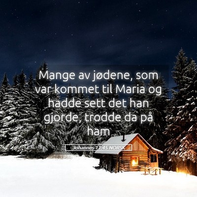 Picture 05 - Johannes 11:45 NORSK - Mange av jødene, som var kommet til Maria og - Bible Verse Picture