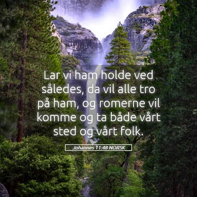 Picture 05 - Johannes 11:48 NORSK - Lar vi ham holde ved således, da vil alle tro - Bible Verse Picture