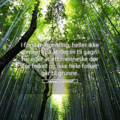 Picture 05 - Johannes 11:50 NORSK - I forstår ingenting, heller ikke tenker I på at - Bible Verse Picture