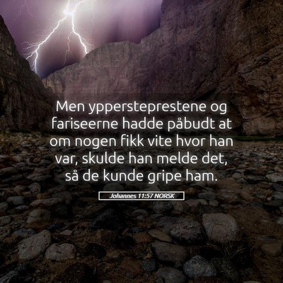 Picture 05 - Johannes 11:57 NORSK - Men yppersteprestene og fariseerne hadde påbudt - Bible Verse Picture
