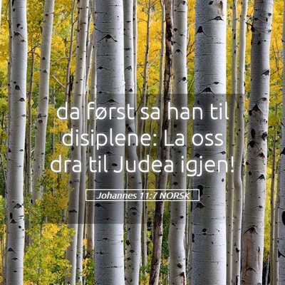 Picture 05 - Johannes 11:7 NORSK - da først sa han til disiplene: La oss dra til - Bible Verse Picture