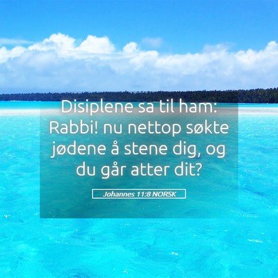 Picture 05 - Johannes 11:8 NORSK - Disiplene sa til ham: Rabbi! nu nettop søkte - Bible Verse Picture