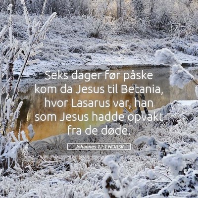 Picture 05 - Johannes 12:1 NORSK - Seks dager før påske kom da Jesus til Betania, - Bible Verse Picture