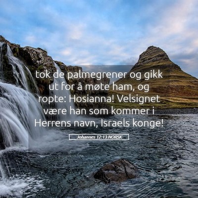 Picture 05 - Johannes 12:13 NORSK - tok de palmegrener og gikk ut for å møte ham, - Bible Verse Picture