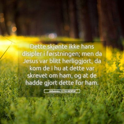 Picture 05 - Johannes 12:16 NORSK - Dette skjønte ikke hans disipler i førstningen; - Bible Verse Picture