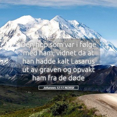 Picture 05 - Johannes 12:17 NORSK - Den hop som var i følge med ham, vidnet da at - Bible Verse Picture