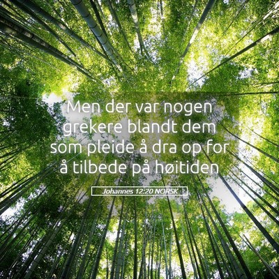 Picture 05 - Johannes 12:20 NORSK - Men der var nogen grekere blandt dem som pleide - Bible Verse Picture