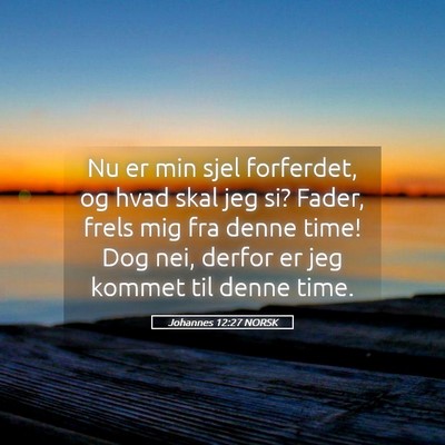 Picture 05 - Johannes 12:27 NORSK - Nu er min sjel forferdet, og hvad skal jeg si? - Bible Verse Picture