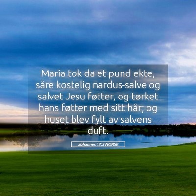 Picture 05 - Johannes 12:3 NORSK - Maria tok da et pund ekte, såre kostelig - Bible Verse Picture