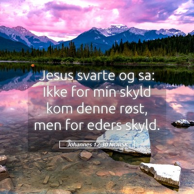 Picture 05 - Johannes 12:30 NORSK - Jesus svarte og sa: Ikke for min skyld kom denne - Bible Verse Picture