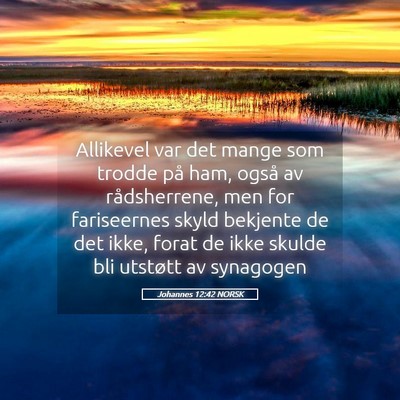 Picture 05 - Johannes 12:42 NORSK - Allikevel var det mange som trodde på ham, også - Bible Verse Picture
