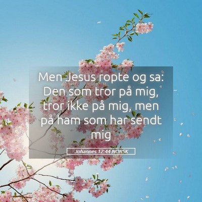 Picture 05 - Johannes 12:44 NORSK - Men Jesus ropte og sa: Den som tror på mig, tror - Bible Verse Picture