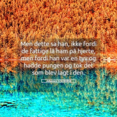 Picture 05 - Johannes 12:6 NORSK - Men dette sa han, ikke fordi de fattige lå ham - Bible Verse Picture