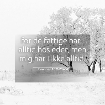 Picture 05 - Johannes 12:8 NORSK - for de fattige har I alltid hos eder, men mig har - Bible Verse Picture