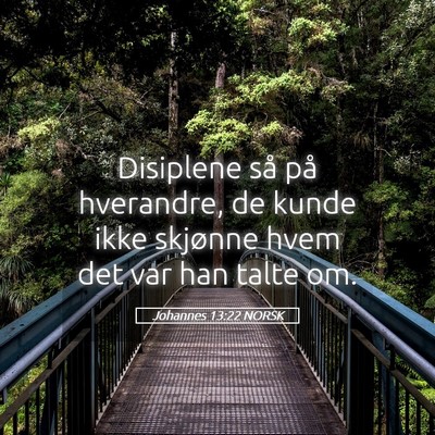 Picture 05 - Johannes 13:22 NORSK - Disiplene så på hverandre, de kunde ikke - Bible Verse Picture