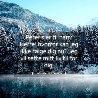 Picture 05 - Johannes 13:37 NORSK - Peter sier til ham: Herre! hvorfor kan jeg ikke - Bible Verse Picture